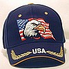 USA Hat w/American Eagle Special Buy