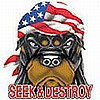 Seek An Destroy T-Shirt Gray