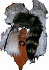Indian Mask 1A