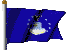 AF Flag 3x5