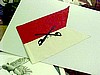 Guidon Cav Thermal Print