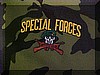 Guidon SF Camo w/Skull