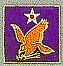 Pin 2ndAF