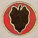 24th Inf Div Pin