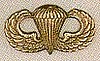 Jump Wings Pin Airborne