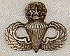 Master Jump Wings
