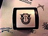 SPECIAL FORCES Emblem Size : 1.18" x 1.18" $19.95